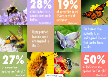 Udruga biofila Hrvatske sa svojim partnerima se bori za spas svih oprašivača