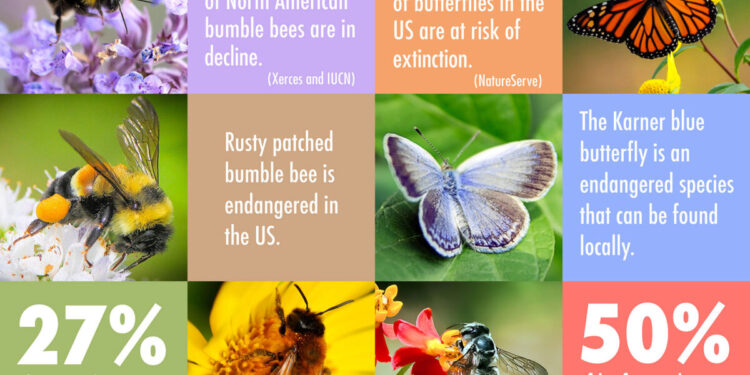 Udruga biofila Hrvatske sa svojim partnerima se bori za spas svih oprašivača