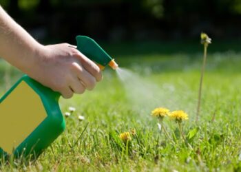 Kako herbicidi utječu na oprašivače ?