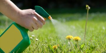 Kako herbicidi utječu na oprašivače ?