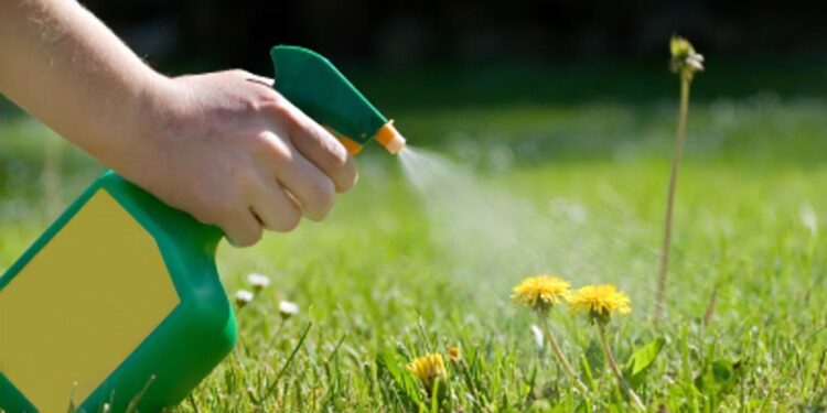 Kako herbicidi utječu na oprašivače ?